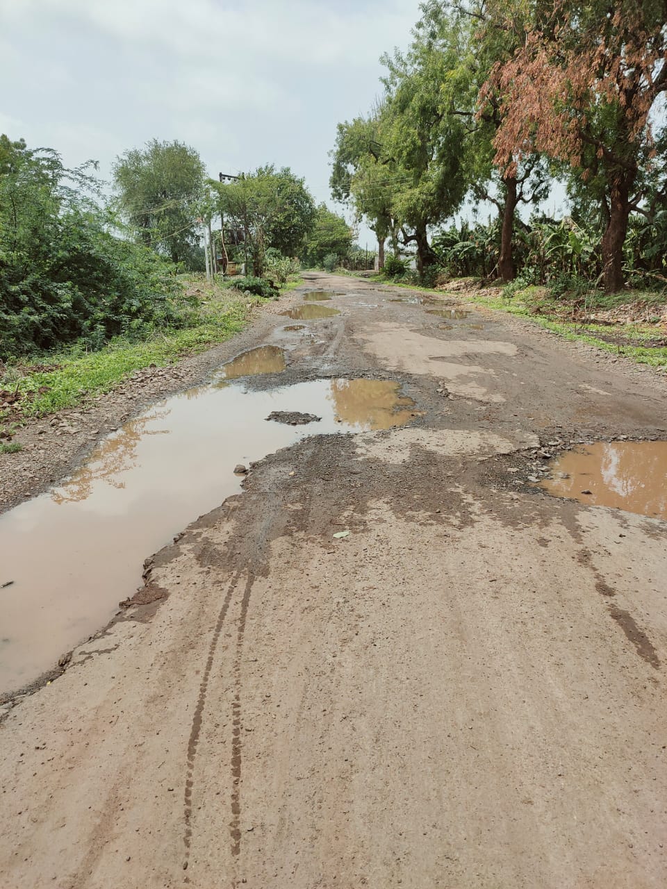 चिनावल कुंभारखेडा रस्ता दुरुस्तीचे कामं लवकरात सुरू करा, कार्याध्यक्ष राष्ट्रवादी विलास ताठे यांची मागणी