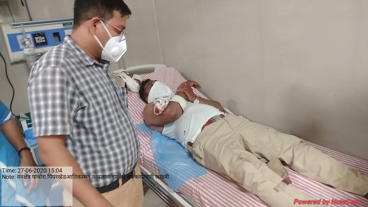 अतिक्रमण करण्यास मज्जाव केल्याने वनाधिकाऱ्यांसह कर्मचाऱ्यावर आदिवासींचा हल्ला !