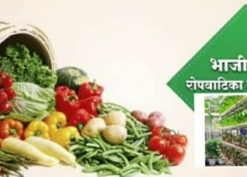 पुण्यश्लोक अहिल्यादेवी होळकर रोपवाटिका योजनेसाठी अर्ज करण्यास 2 नोव्हेंबरपर्यंत मुदतवाढ