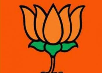 लॉकडाऊन वर भाजपनं भूमिका केली जाहीर…चंद्रकांत पाटील म्हणाले..