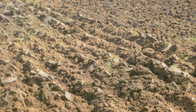 हजारो बेघर व भूमिहीन शेतकऱ्यांना कसण्यासाठी जमीन मिळवून देणारा ‘कमाल जमीन धारणा’ कायदा… यामुळे महाराष्ट्रात झालेले बदल… थोडक्यात वाचा…