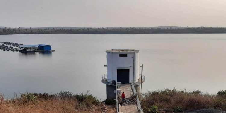 खुश खबर ; वाघनगरात पोहचले वाघूरमाईचे पाणी !