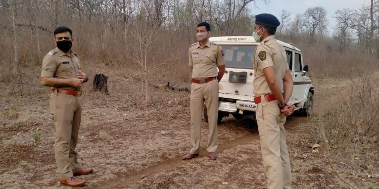 यावल अभयरण्यातील करंजपाणी क्षेत्रात वन प्राण्यांच्या शिकारीसाठी फिरणाऱ्या परप्रांतीय कडुन वनरक्षकांवर गोळीबार