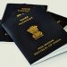 सरकारनं पासपोर्ट अर्ज केले ऑनलाईन ; आवश्यक असणारी कागदपत्रं… वाचा…