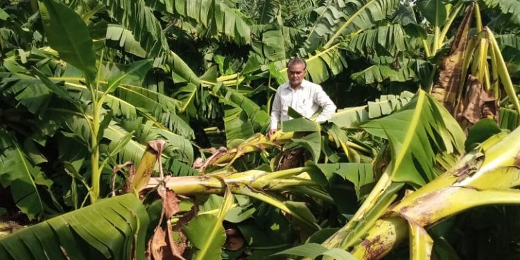 चुंचाळेसह परिसराला वादळासह पावसाचा तडाखा