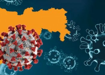 दुसऱ्या लाटेत राज्यात कोविडचा मोठ्या प्रमाणात फैलाव ;पर्यायी उपचारपद्धती राबविण्याबाबत चाचपणी सुरु