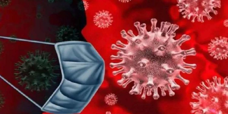 जळगाव जिल्ह्यातील कोरोनाग्रस्तांच्या रुग्णसंख्येत मोठी घट ; आज केवळ १६९ नवे रुग्ण