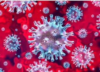 दिलासादायक : कमी पाॅझिटीव्हीटी दरात राज्यात जळगाव जिल्हा दुसऱ्या क्रमांकावर