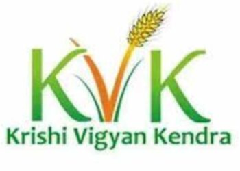 बारावी ते पदवीधरांसाठी संधी ; कृषि विज्ञान केंद्र जळगाव येथे भरती