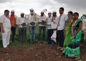 पाचोऱ्यात कृषि दिनाच्या निमित्ताने शेतकरींचा कॉग्रेस कडुन बांधावर सन्मान
