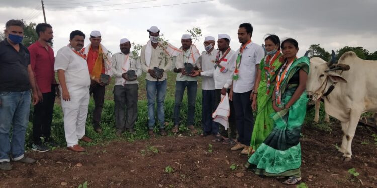 पाचोऱ्यात कृषि दिनाच्या निमित्ताने शेतकरींचा कॉग्रेस कडुन बांधावर सन्मान