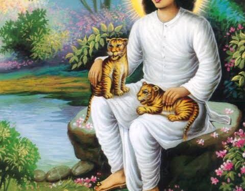 कोवीड 19 च्या प्रादुर्भावामूळे ‘कनाशी’ येथिल यात्रा बंद ; नागरिकांनी गर्दी करू नये