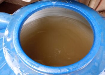 चाळीसगाव तालुक्यातील वडाळा येथे दूषित पाणीपुरवठा
