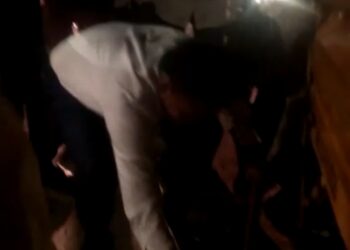 माजी जलसंपदा मंत्री गिरीश महाजन सापाच्या बचावासाठी सरसावले ; व्हिडीओ व्हायरल….