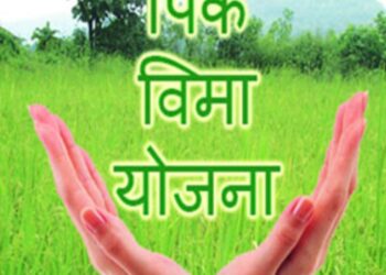 प्रधानमंत्री पीक विमा योजना ; जळगाव जिल्ह्यातील शेतकऱ्यांसाठी महत्वाची बातमी…