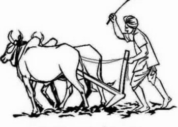 शेतकऱ्यांसाठी शासनाची ‘पिक स्पर्धा ‘ ; रोखीचे बक्षीसं जिंकता येणार