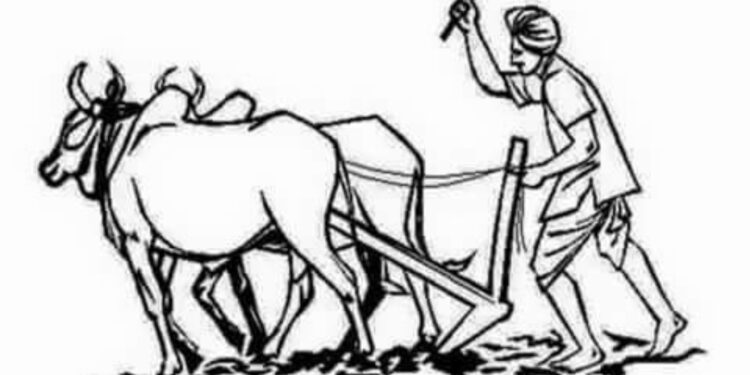 शेतकऱ्यांसाठी शासनाची ‘पिक स्पर्धा ‘ ; रोखीचे बक्षीसं जिंकता येणार