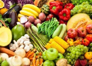 पावसाळ्यात निरोगी राहण्यासाठी ‘या’ १० पदार्थांचा आहारात समावेश करा