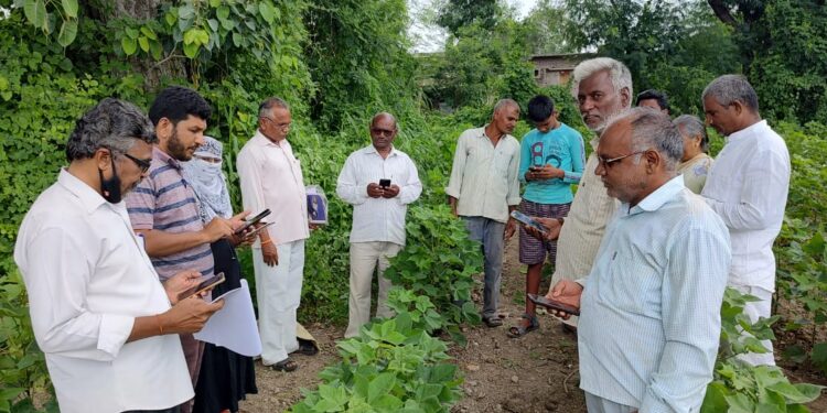 माझी शेती माझा सातबारा,मीच नोंदविनार माझा पीक पेरा…