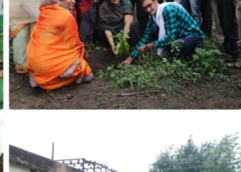 समाजाने पर्यावरणाचा समतोल राखावा – जि प अध्याक्षा – सौ रंजना पाटील