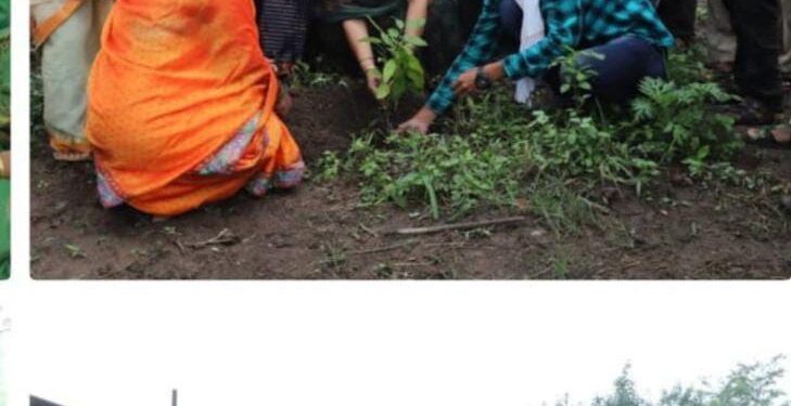 समाजाने पर्यावरणाचा समतोल राखावा – जि प अध्याक्षा – सौ रंजना पाटील