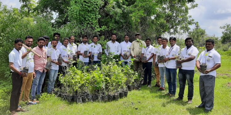 नेचर हार्ट फॉउंडेशन ने पिंप्रीपंचम येथील 590 सी वनविभागात केले 500 वृक्षांचे वृक्षरोपण..!