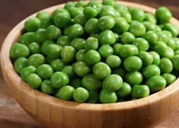 हिरव्या वाटाण्यांचा आहारात करा समावेश ; होतील हे फायदे, वाचा