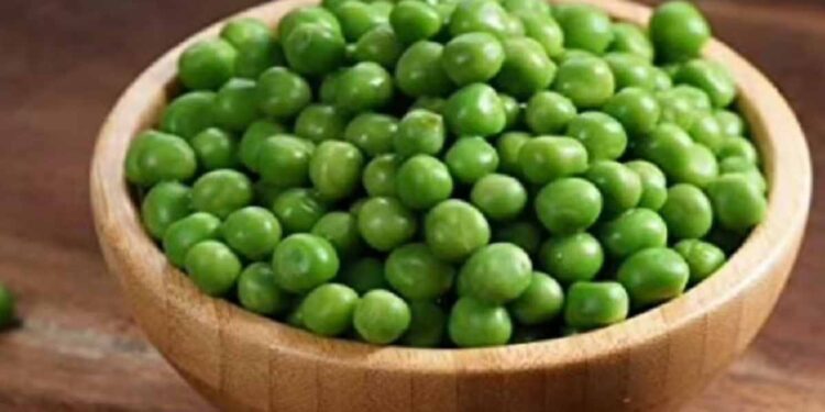 हिरव्या वाटाण्यांचा आहारात करा समावेश ; होतील हे फायदे, वाचा