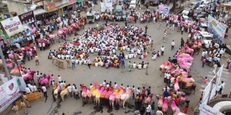 …अन्यथा मंत्रालयाच्या दावणीला बैल बांधून आंदोलन करणार ; आ. मंगेश चव्हाण