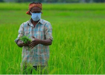 राष्ट्रीय शाश्वत शेती अभियानातंर्गत वनशेती उपअभियानाचा शेतकऱ्यांनी लाभ घेण्याचे आवाहन