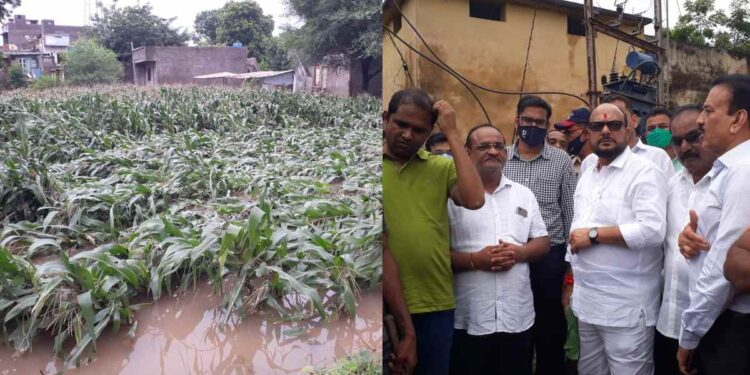 चाळीसगाव तालुक्यातील नुकसानग्रस्तांना जास्तीत जास्त मदत मिळवून देणार