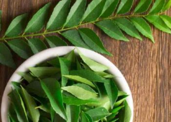 जेवताना कढीपत्ता बाजूला काढताय? आधी वाचा कढीपत्याचे ‘हे’ १० गुणकारी फायदे