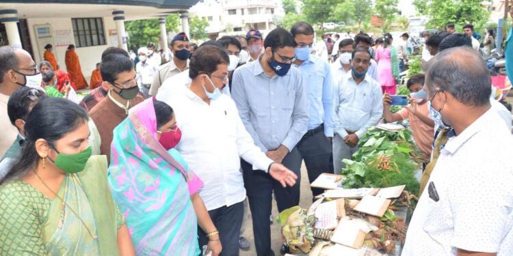 पावसाळ्यात दरमहा रानभाज्या महोत्सवाचे आयोजन व्हावे – जिप अध्यक्षा रंजना पाटील