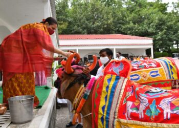 जैन हिल्सवर प्रातिनिधीक पोळा साजरा