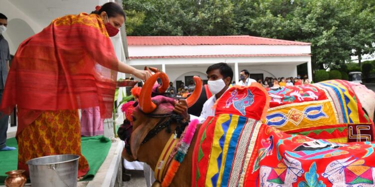 जैन हिल्सवर प्रातिनिधीक पोळा साजरा