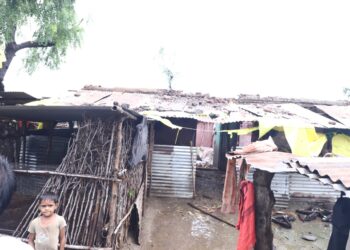 जामनेर तालुक्यातही अतिवृष्टीने नुकसान…