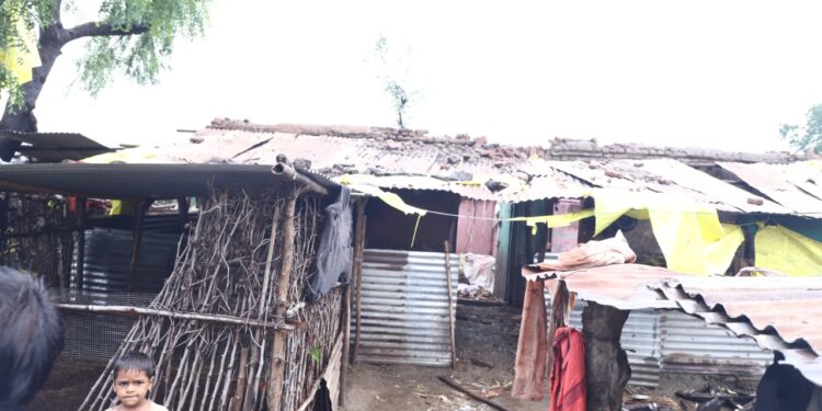 जामनेर तालुक्यातही अतिवृष्टीने नुकसान…