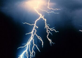 जामनेर तालुक्यातील ‘त्या’ शीर नसलेल्या भुताच्या व्हायरल व्हिडीओचं सत्य अखेर आलं समोर…