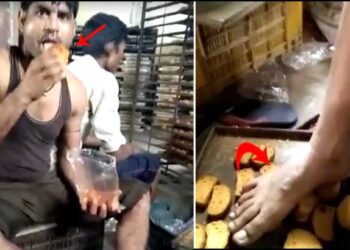 Video पाहिल्यानंतर तुम्ही टोस्ट खाणे सोडून द्याल ! सोशल मीडियावर होतोय तुफान व्हायरल