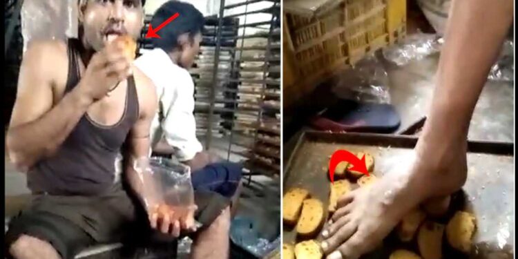 Video पाहिल्यानंतर तुम्ही टोस्ट खाणे सोडून द्याल ! सोशल मीडियावर होतोय तुफान व्हायरल