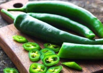 हिरव्या मिरच्या खाण्याचे ‘हे’ आहेत 5 जबरदस्त फायदे