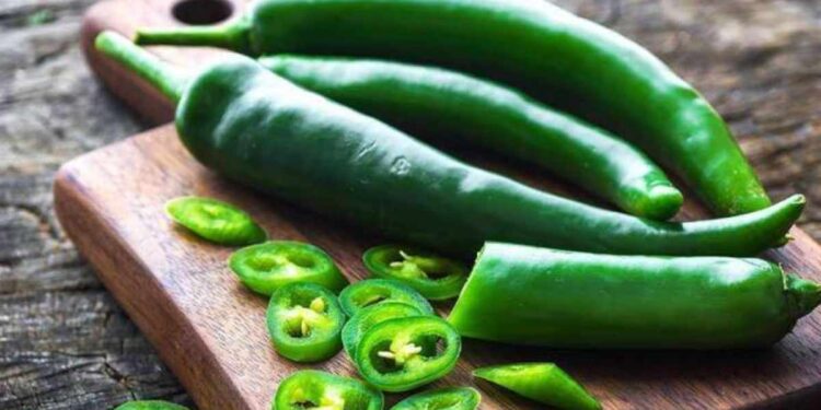 हिरव्या मिरच्या खाण्याचे ‘हे’ आहेत 5 जबरदस्त फायदे