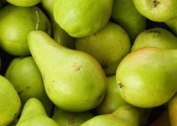 ‘हे’ फळ वजन कमी करून रोग प्रतिकारशक्ती वाढवते, जाणून घ्या जबरदस्त फायदे