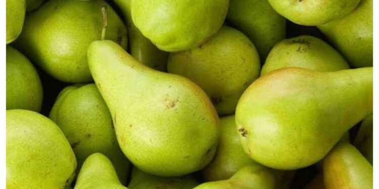 ‘हे’ फळ वजन कमी करून रोग प्रतिकारशक्ती वाढवते, जाणून घ्या जबरदस्त फायदे