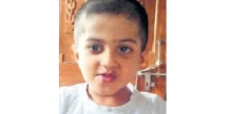 आईपाठोपाठ पाच दिवसांनी मुलाचाही मृत्यू