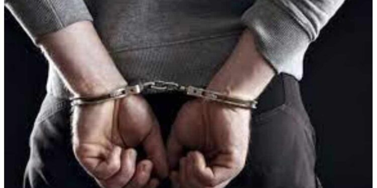 बहिणीच्या घरात डल्ला मारणाऱ्या भावाला अटक