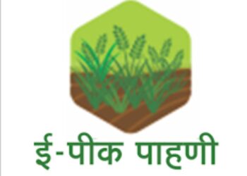 ई-पीक नोंदणी बाबत महत्वाची माहिती…. शेतकरी असाल तर एकदा नक्कीच वाचा…