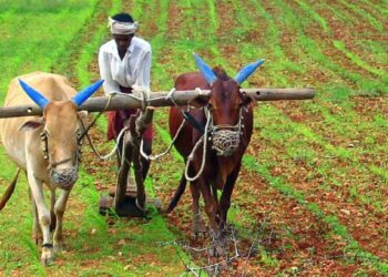 केंद्राच्या ‘या’ 5 योजना शेतकर्‍यांसाठी आहेत मोठ्या कामाच्या ; जाणून घ्या कोणत्या आहेत?