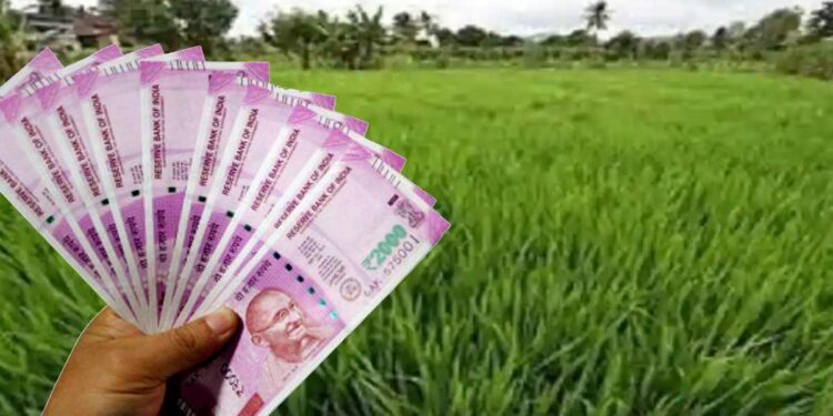 फक्त 20 हजारांपासून सुरू करा ‘हा’ व्यवसाय, दरमहा 3 लाख कमवाल, सरकारकडूनही मिळेल अनुदान