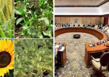 शेतकऱ्यांसाठी खुशखबर…! केंद्राकडून रब्बी पिकांच्या MSP मध्ये वाढ, आता मिळेल इतका भाव